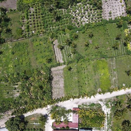 Thila Farm View Hotel Thoddoo Exterior photo
