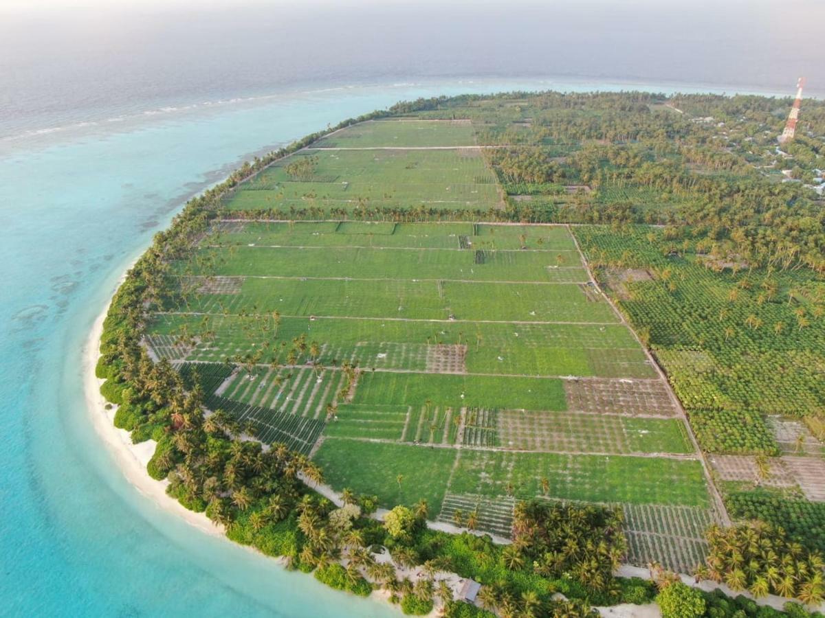 Thila Farm View Hotel Thoddoo Exterior photo